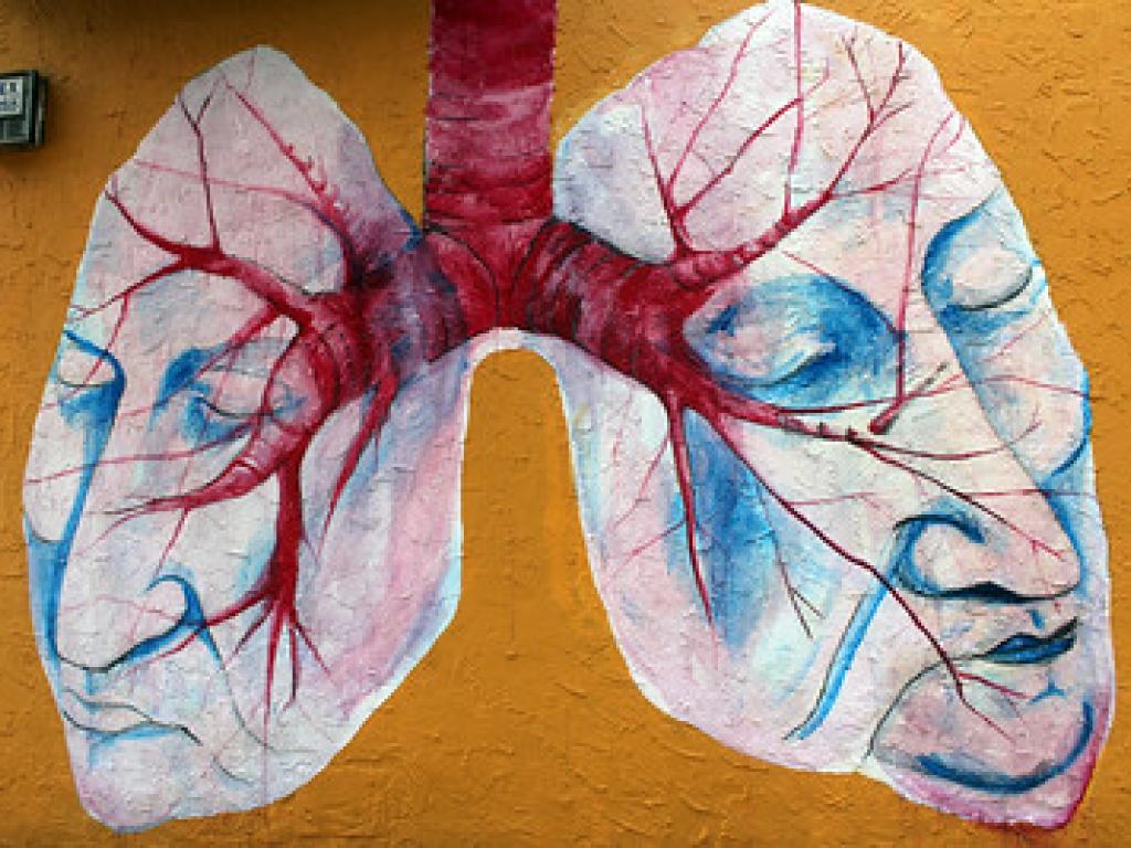 Lungs