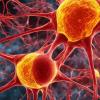 pyridoxine, toxicity